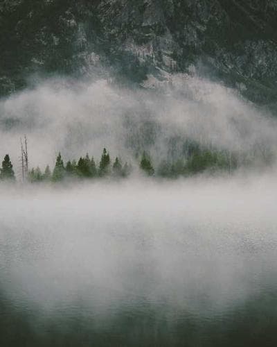 Pijama Estampado Animais